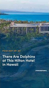 🐬The Most Unique Hotel in Hawaii Costs 75,000 Hilton Points a Night