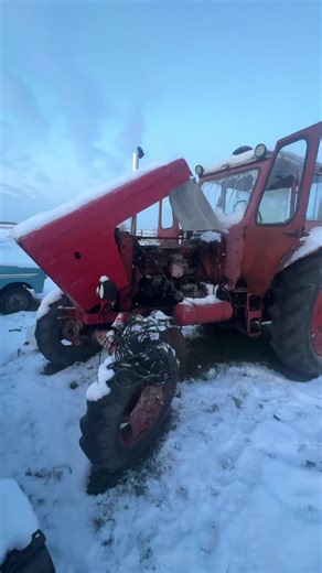 Mts 52 läuft immer #-4C* und Schnee #ostblockteambörde #ifa #ddr #w50