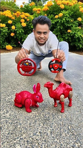 Remote Control Red Colour Rabbit and Camel 🐫 Unboxing|😋