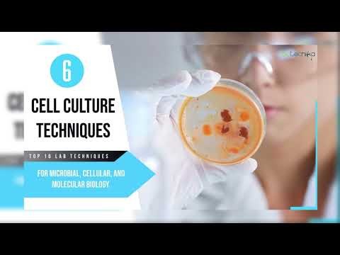 Major Lab Techniques for Life Science Researchers