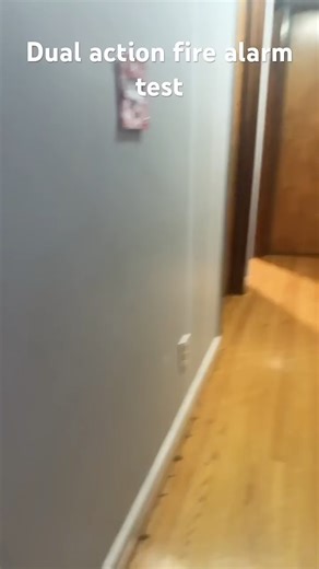 Simplex dual action pull station test ￼￼￼￼￼