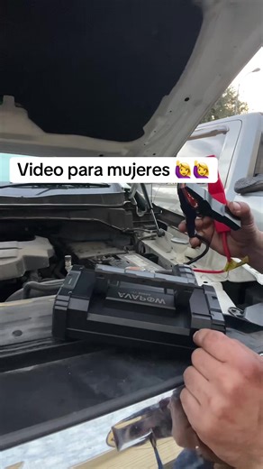 Minnie Mouse Collectibles: What You Need to Know