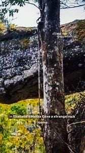 12K views · 290 reactions | The Giant Snake Rock of Naka Cave #NakaCave #snakerock #T#thailandmyster #nagalegend #phulangka | Archaeology Wonders | Facebook
