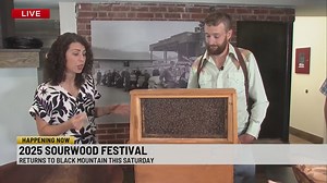 Sourwood Festival offers honey tastings, demo's and vendors in Black Mountain