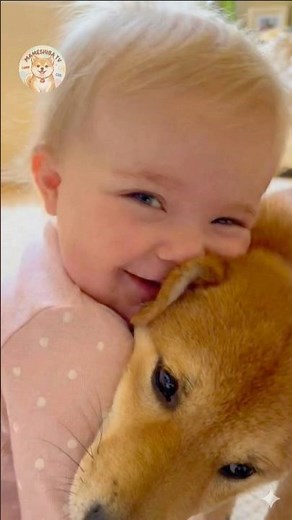【柴犬と赤ちゃん】幸せ全開！大好きが溢れちゃう豆柴と赤ちゃんの日常が可愛すぎる😆💓 Shiba & Baby: Overwhelming Happiness and Love! #cute 💕