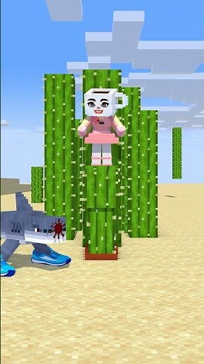 Who framed robber Lirilì Larilà ? Hide and seek in minecraft !