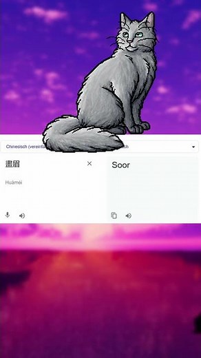 Blaustern im Google Übersetzer...