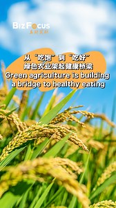 Want food that is good for you and the planet? Green agriculture is the answer! This eco-friendly approach to farming uses methods like crop rotation and big data to protect the Earth and make food healthier. Check out this video about how the green agriculture supply chain works! #CISCE2023 | CGTN
