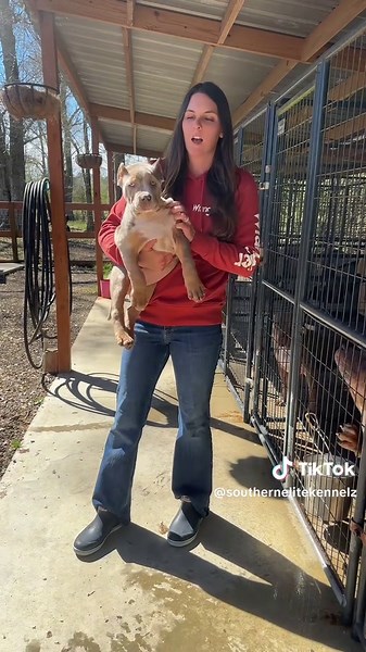 Adoptable Puppies from Southern Elite Kennels