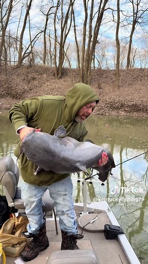 Today I caught the biggest catfish of my life on 6lb fishing line. I didn’t get the weight of this giant Ohio River blue catfish but it was a true river monster!! It was released in great condition #bluecatfish #ohioriverfishing #catchandrelease #catfishing #riverfishing