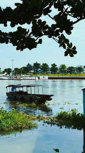 241K views · 3K reactions | Model Minh Trí on Reels | Facebook