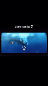 🦈🦈🦈…………. 🏊 | Angelo Pillo