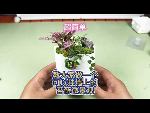 Super easy tutorial on how to make a miniature landscape that can be hung on the wall #mossminiat...