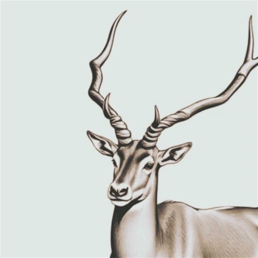 The stag and the addax is available online in ebook format!