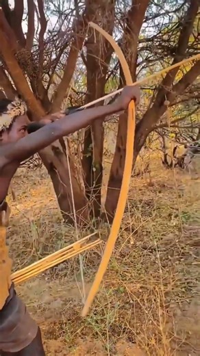 “Rare Cheetah Climbs a Tree | Forest Wildlife Observation”