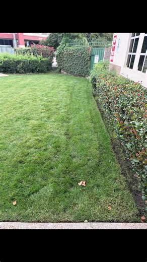 El Guero Masonry #masonry #contractor #fypシ #brick #stoneveneer