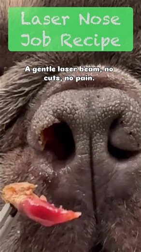 Laser Nose Job Recipe