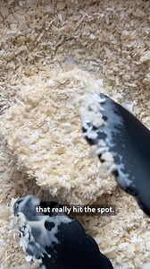 151K views · 2K reactions | COCONUT TOFU KATSU CURRY 便 Crispy,...