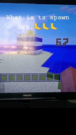 What is ts spawn bro!? #gaming #humor #minecraft #ps3