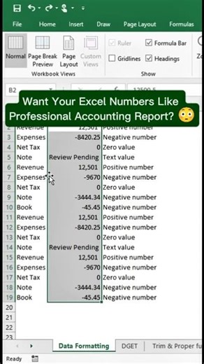 Accountants use this secret Excel formatting trick!