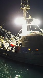 Did you know California squid fishing vessels use bright lights at night to attract squid to the surface? The lights replicate the moon’s glow, triggering natural feeding behavior and drawing squid upward where they can be efficiently harvested. This technique allows vessels to target squid with precision while operating at night. From water to market, it’s one of the many ways seafood sourcing combines experience, biology, and technology. Follow Lund’s Fisheries for more behind the scenes insig