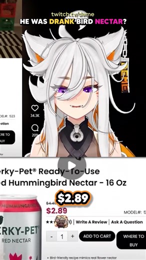 He Was Drinking BIRD NECTAR? #vtuber #demenishki #hummingbirds | Humming Birds