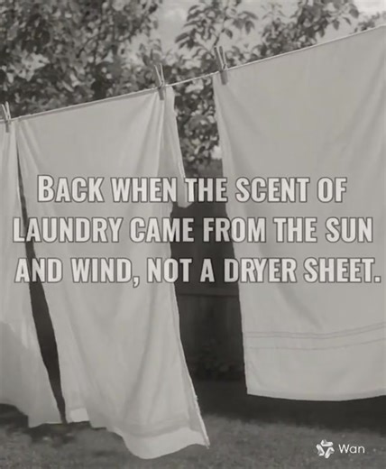 Back when laundry smelled like sunshine, not dryer sheets ☀️💨 When moms hung clothes on the line and the breeze did the rest. That fresh scent of clean cotton and summer air — nothing today can beat it ❤️ Who remembers helping hang the laundry outside? 🙋‍♀️ #BackInTheGoodOldDays #VintageMemories #SimpleTimes #FreshLaundry #Nostalgia | Back in the Good Old Days