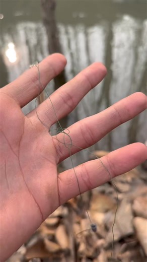 Day 25 — still chasing bigger catches, better moments, and that 10kg dream. 🎣🔥 Consistency > Luck. 📍 Angler’s Onestop, Zakura Gulshanabad (near JK Bank), Srinagar 📞 9149999204 🚚 All India Delivery #fishing #fishinggear #srinagar #Kashmir #india #fypviralシ #fypusa #fishinglife @highlight | Anglers Onestop