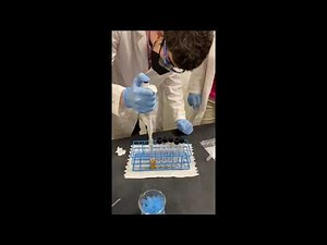 Serial Dilutions, Soil Testing, Plating - Methods and Procedures