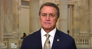 Sen. David Perdue: Trump wants all 4 ‘pillars’ in immigration bill