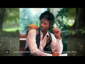 Chế Linh với Nhạc Yêu Cầu | 10 TÌNH KHÚC VŨ THÀNH AN