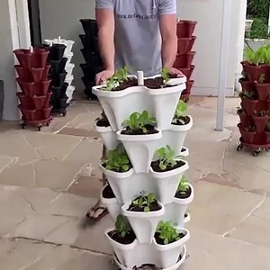 1.5M views · 301 reactions |  květináče ve tvaru květin  na bylinky, zeleninu, květiny, zeleninu,...  samozavlažovací systém Zvětšete svůj prostor a zkraťte čas a spotřebu zalévání!!! 殺. https://vigoexpress.cz/výrobek/vertical-stacking-plant-pots/?sp=77599i007 | Vigoexpress | Facebook