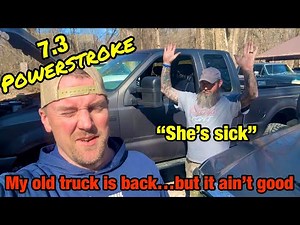 7.3 Powerstroke running rough, cylinder contribution...ITS BAD!!!