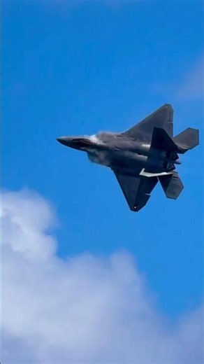 SALUTE TO THE U.S. AIR FORCE ✨