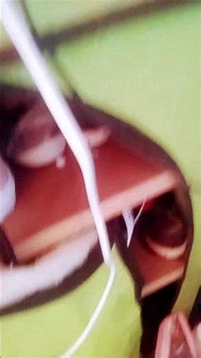 19 de fevereiro de 2026