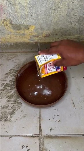 Say goodbye to dampness! 🏠🛠️ The secret of paint thinner for bare walls #Home #Cleaning #tips