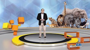 17 Graphic Design  Theory Elements of Design   Shape