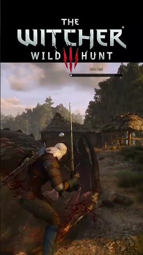 Finally | The Witcher 3