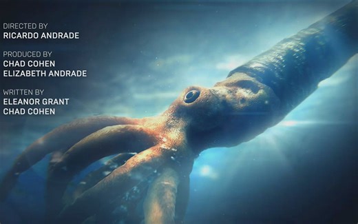 纪录片.远古海洋.E01.2019[高清][英字]