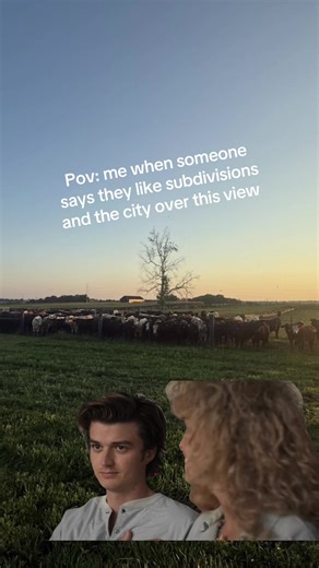 Fencing Contractors and Subdivision Preferences Explained