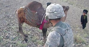 Soldier trying to spank camel and look what happened