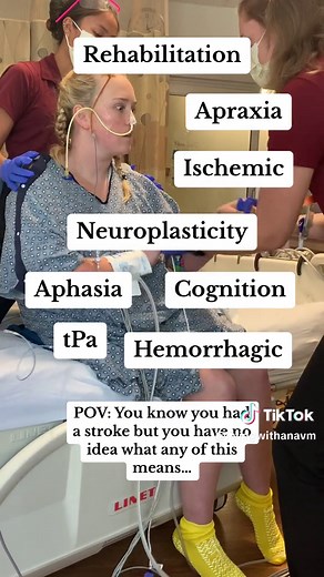 AVM Rupture: Understanding Your Stroke Journey