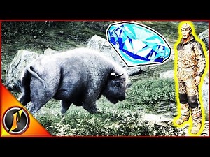 Beginner Series | First Diamond???