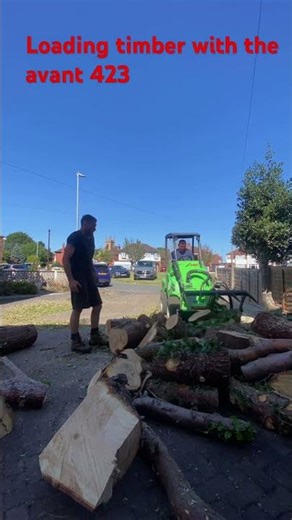Avant 423 loading timber.