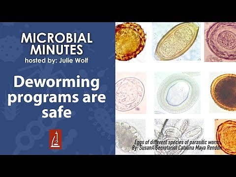Deworming programs are safe