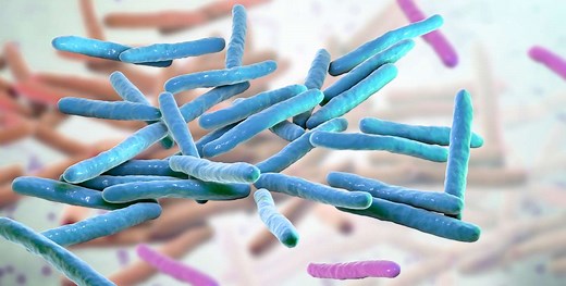 Leprosy in Florida: Medical experts monitoring unusual, new cases of Hansen’s disease »  Emerging Pathogens Institute » University of Florida