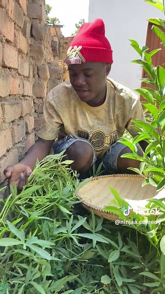 ninjaa comedy (@ninjaa.comedy)’s videos with original sound - ninjaa comedy