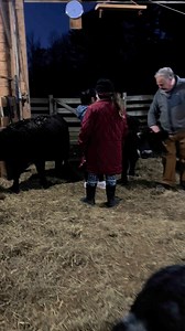 16K views · 1.4K reactions | We were thrilled to host a visit with the Digby Girl Guides. It’s a fantastic opportunity for the kids to learn and experience farm animals up close and personal. Thank you to everyone who supports us | Our Farmacy | Facebook