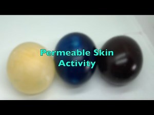 Amphibian Permeable Skin Activity