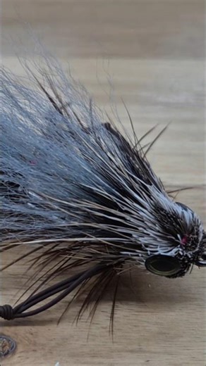 dungeon creature fly pattern #shorts #flytying #flyfishing
